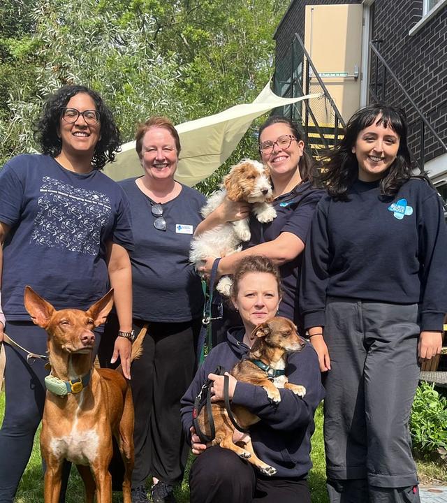 Re: Haustier-Besitzer in Not