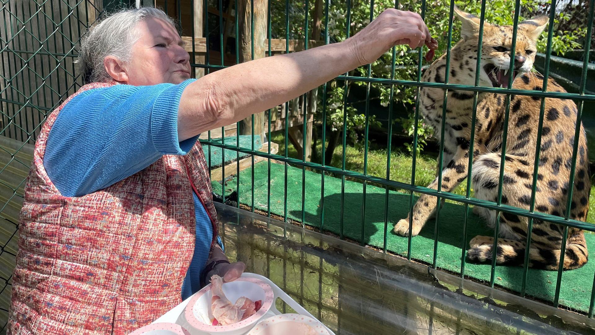 Re: Leben mit Wildtieren