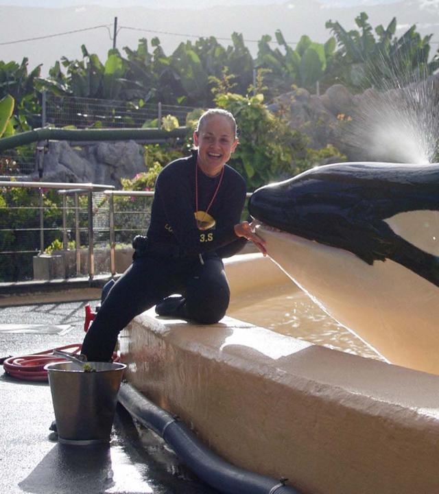 Re: Orca-Shows am Ende?