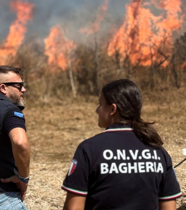 Re: Sizilien - Profit durch Brandstiftung?