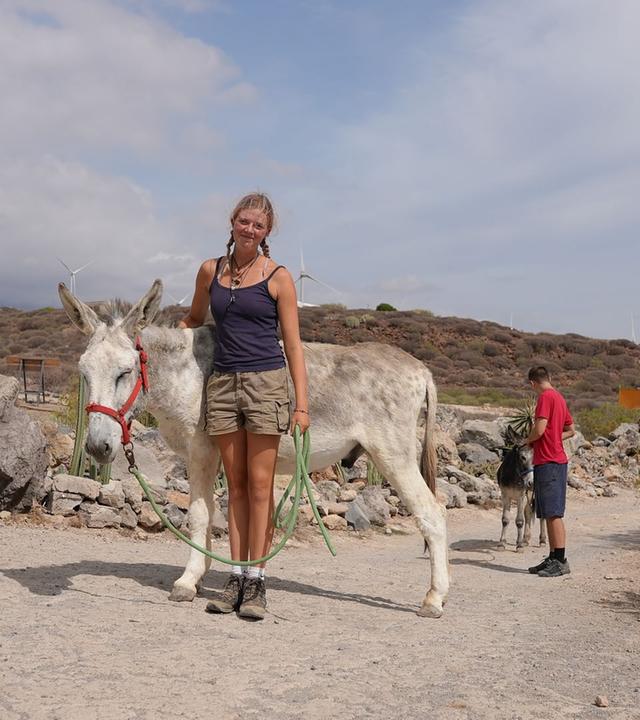 Re: Tierretter auf Teneriffa