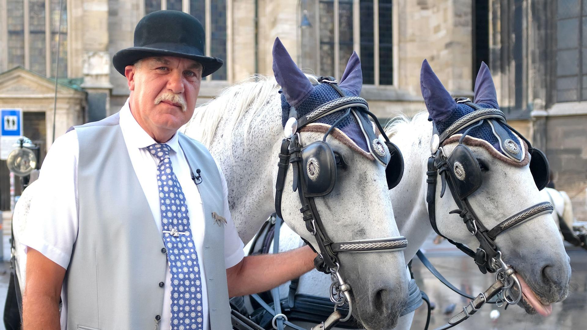 Re: Wiens Fiaker im Hitzestress?