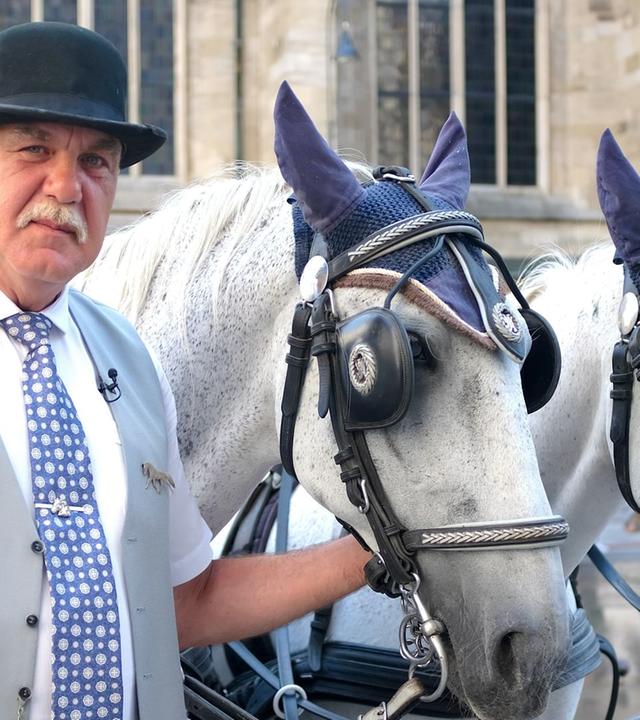 Re: Wiens Fiaker im Hitzestress?