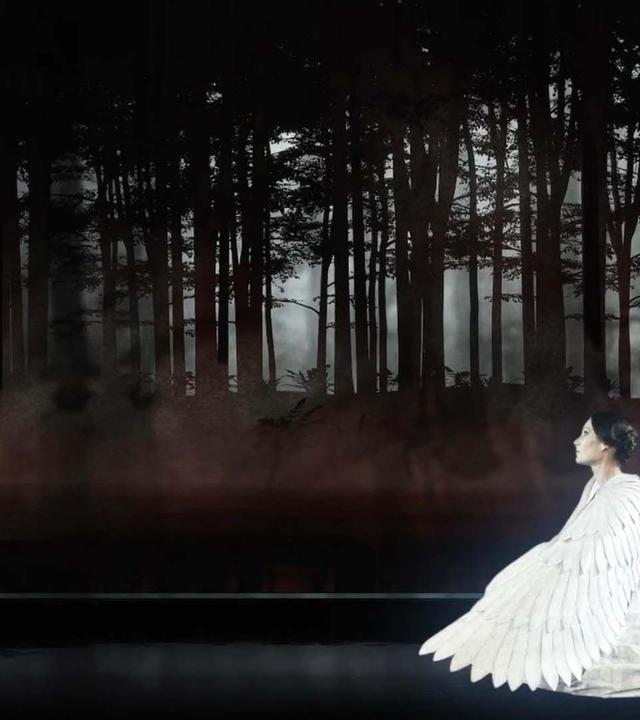 Robert Schumann: Das Paradies und die Peri - Konzerthaus La Seine Musicale, Paris