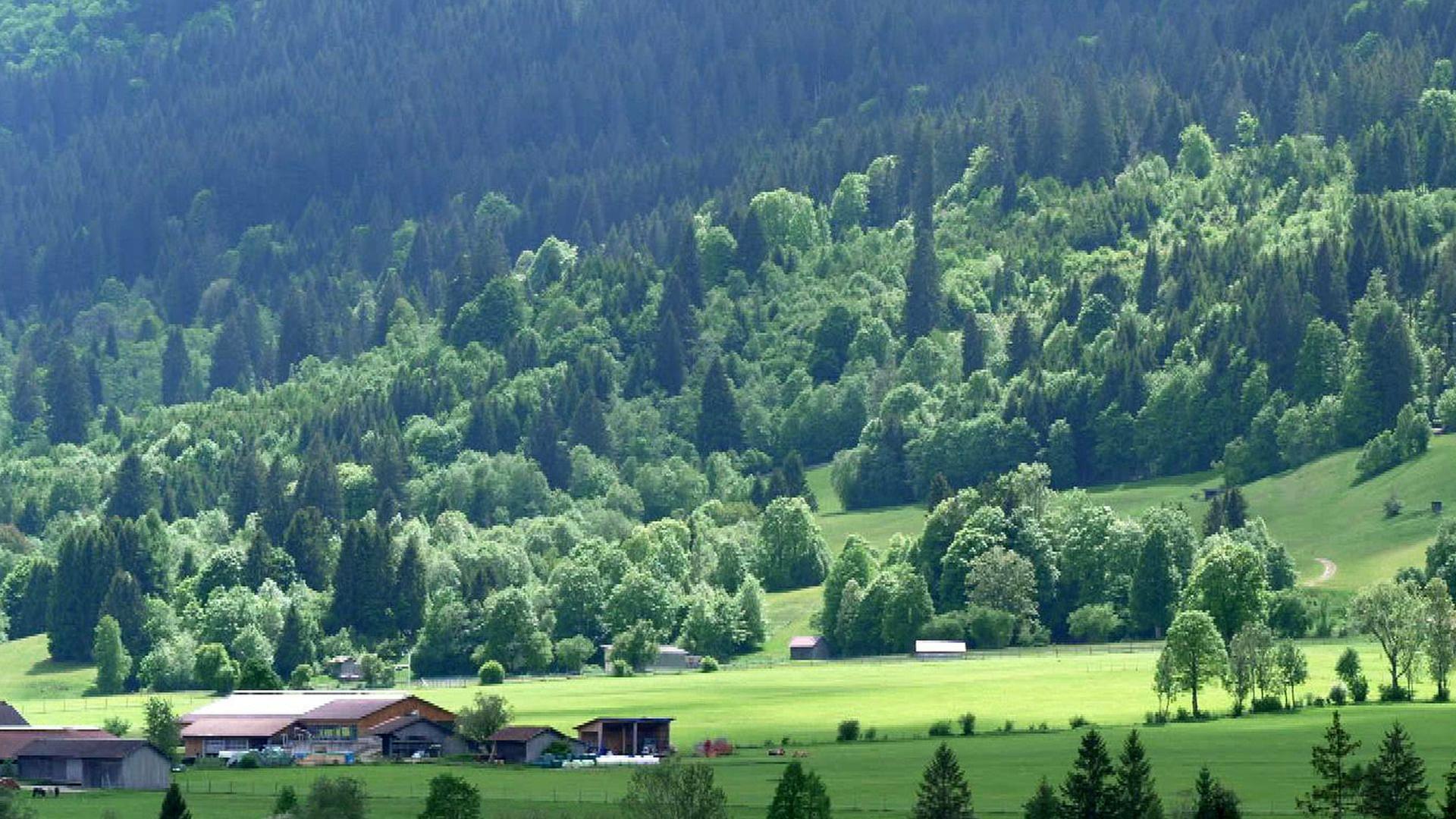 Stadt Land Kunst - Bayern / Baskenland / Irland