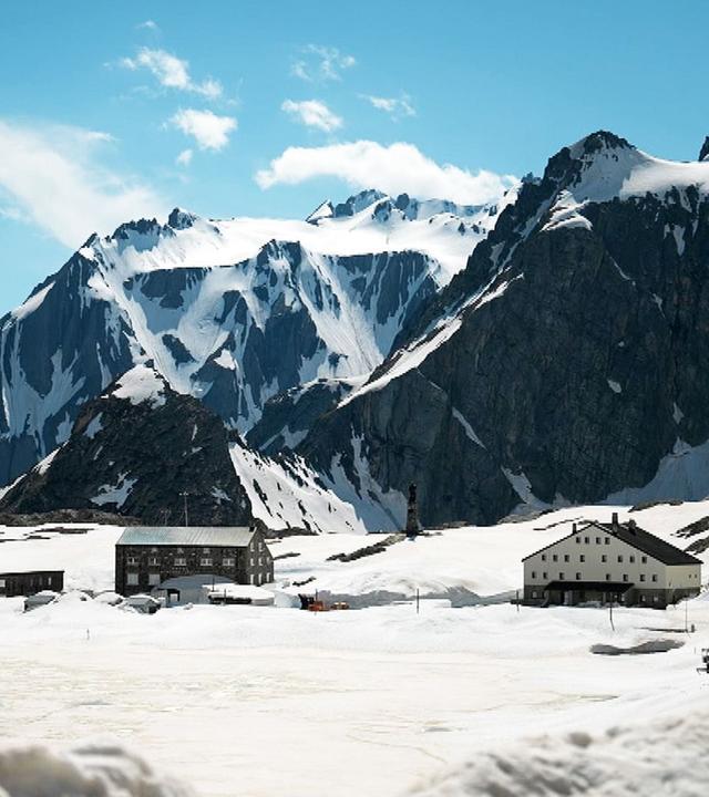 Stadt Land Kunst - Berlin / Kerala / Alpen