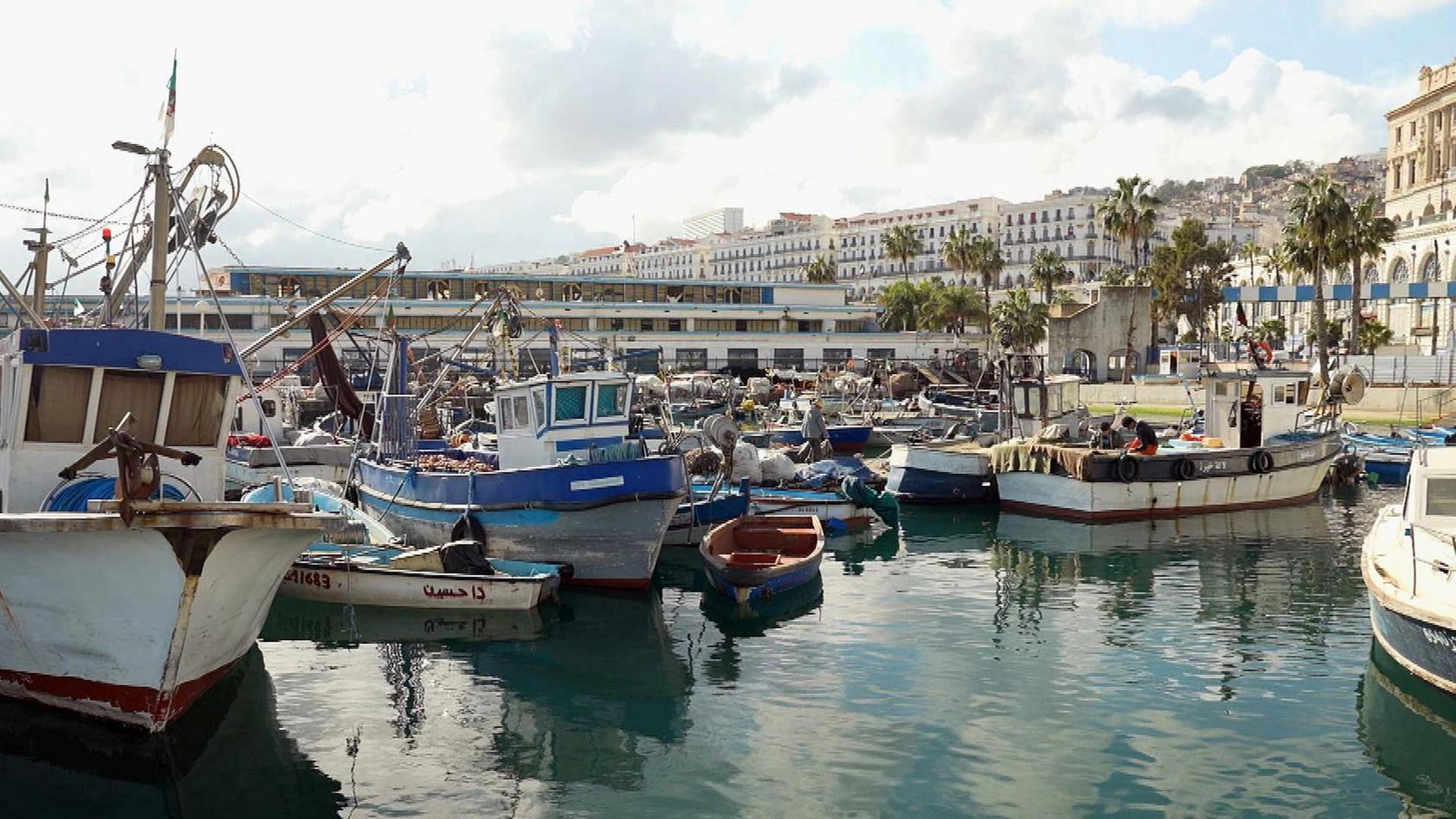 Stadt Land Kunst - Bilbao / Algier / USA