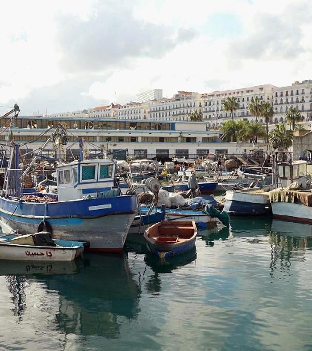 Stadt Land Kunst - Bilbao / Algier / USA