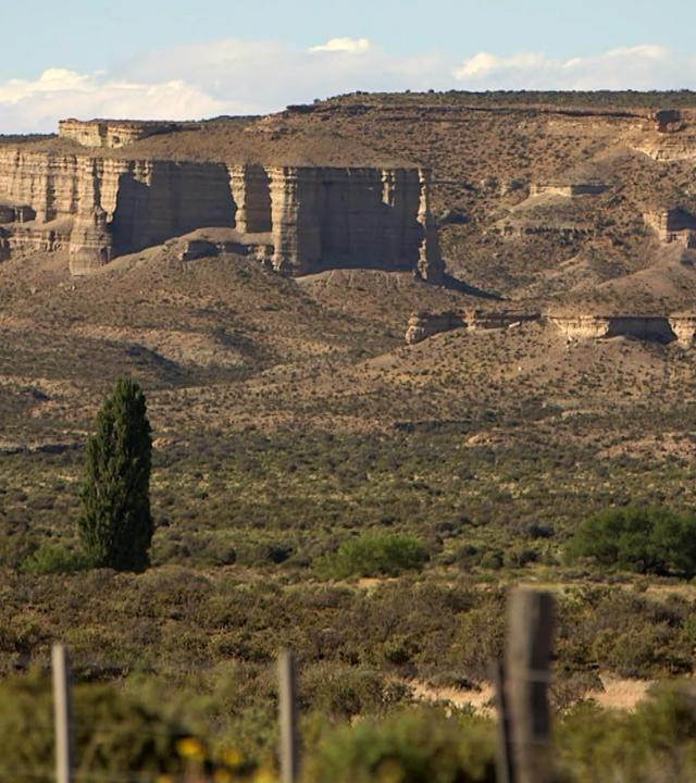 Stadt Land Kunst - Bruce Chatwins Patagonien / Argentinien / Quetrihue