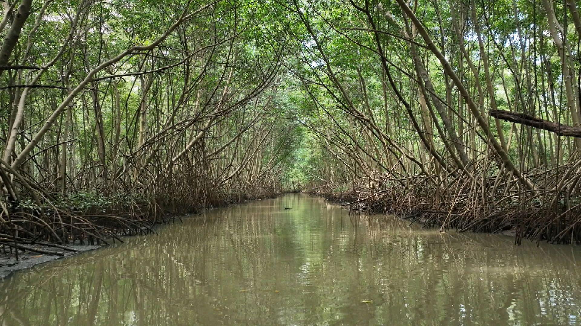 Stadt Land Kunst - Chad Taylors Neuseeland / Martinique / Arras
