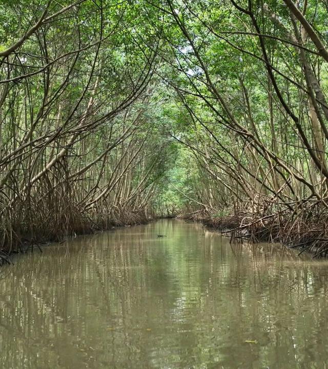 Stadt Land Kunst - Chad Taylors Neuseeland / Martinique / Arras