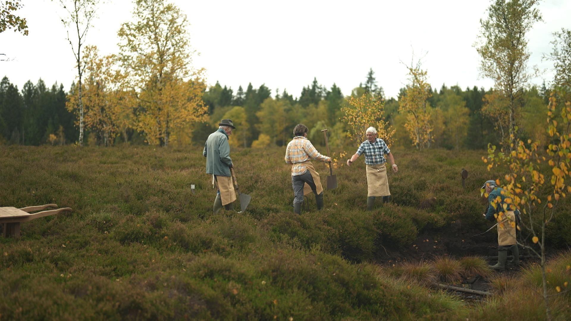 Stadt Land Kunst - Chinua Achebes Nigeria / Jura / Mexiko
