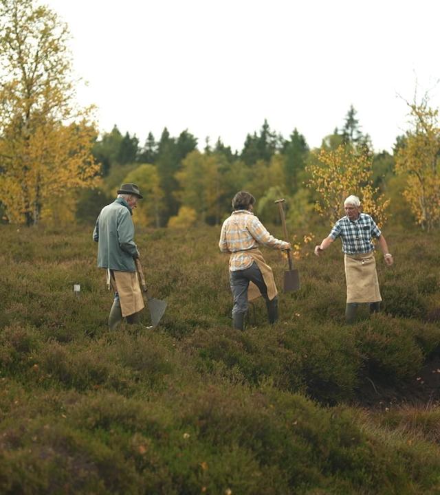 Stadt Land Kunst - Chinua Achebes Nigeria / Jura / Mexiko