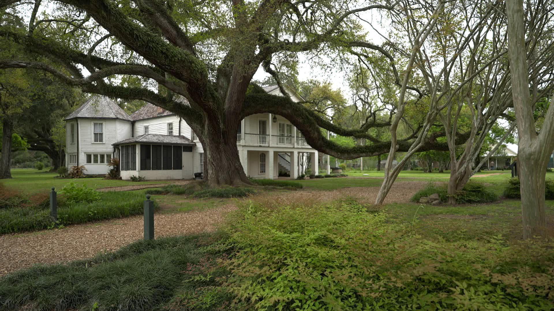 Stadt Land Kunst - Clementine Hunters Louisiana / Japan / Paris