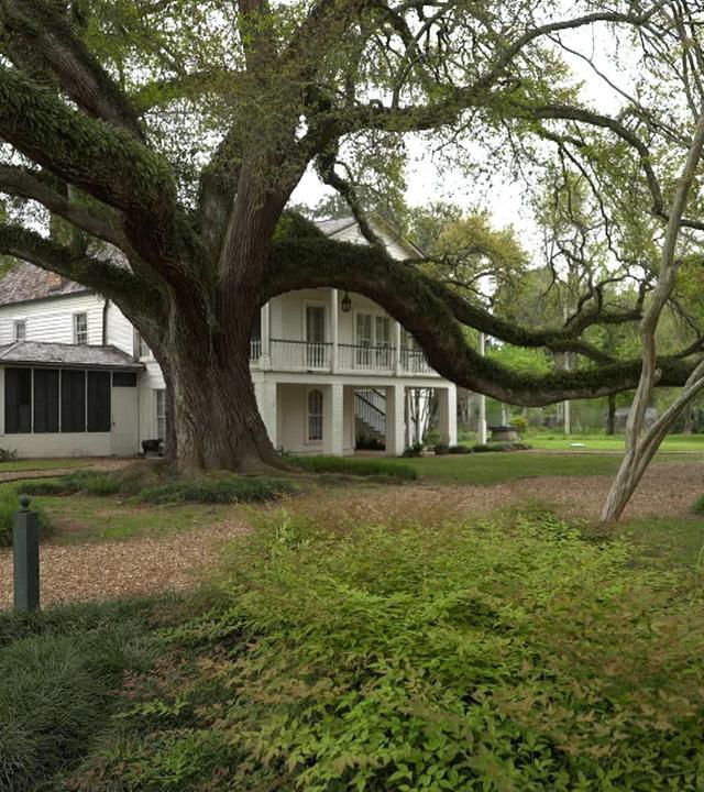 Stadt Land Kunst - Clementine Hunters Louisiana / Japan / Paris