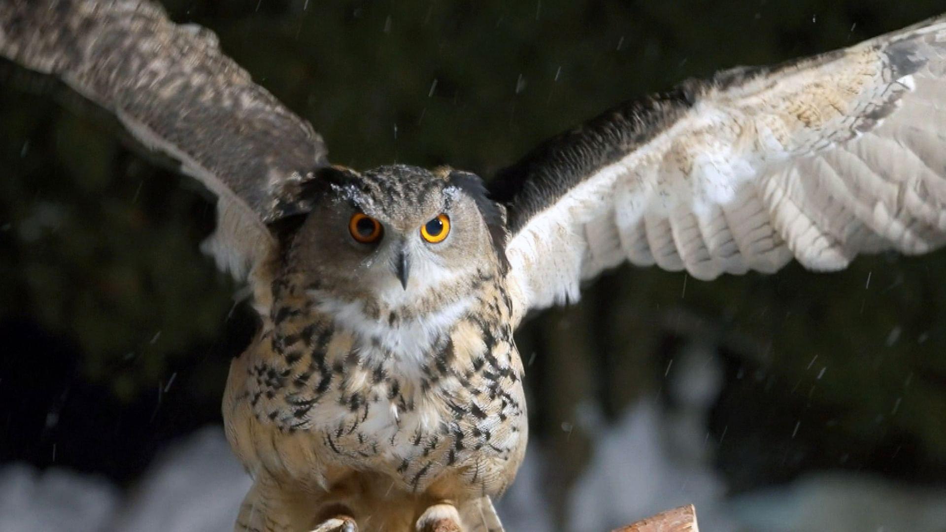 Stadt Land Kunst - Edmond Baudoins Côte d'Azur / Mexiko / Kanada