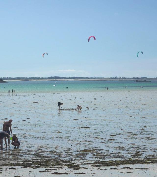 Stadt Land Kunst - Finistère / Kolumbien / Deutschland
