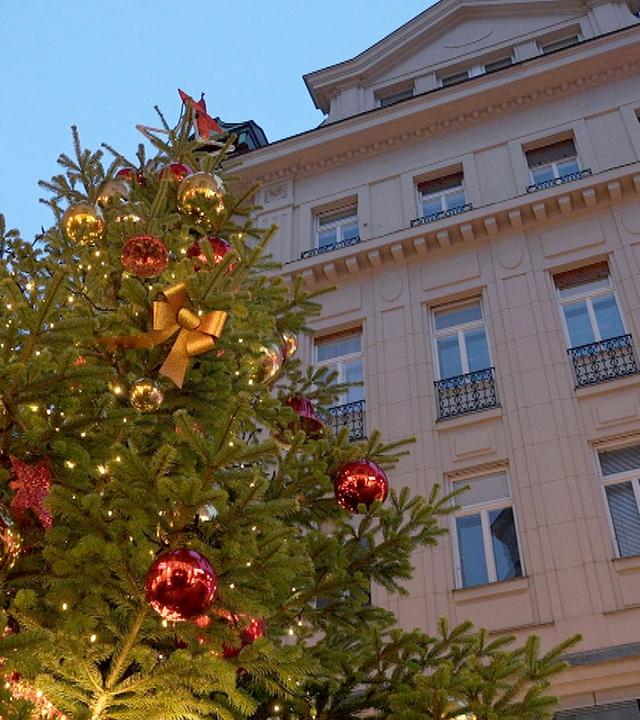 Stadt Land Kunst - Francisco Coloanes Chile / Liberia / Wien