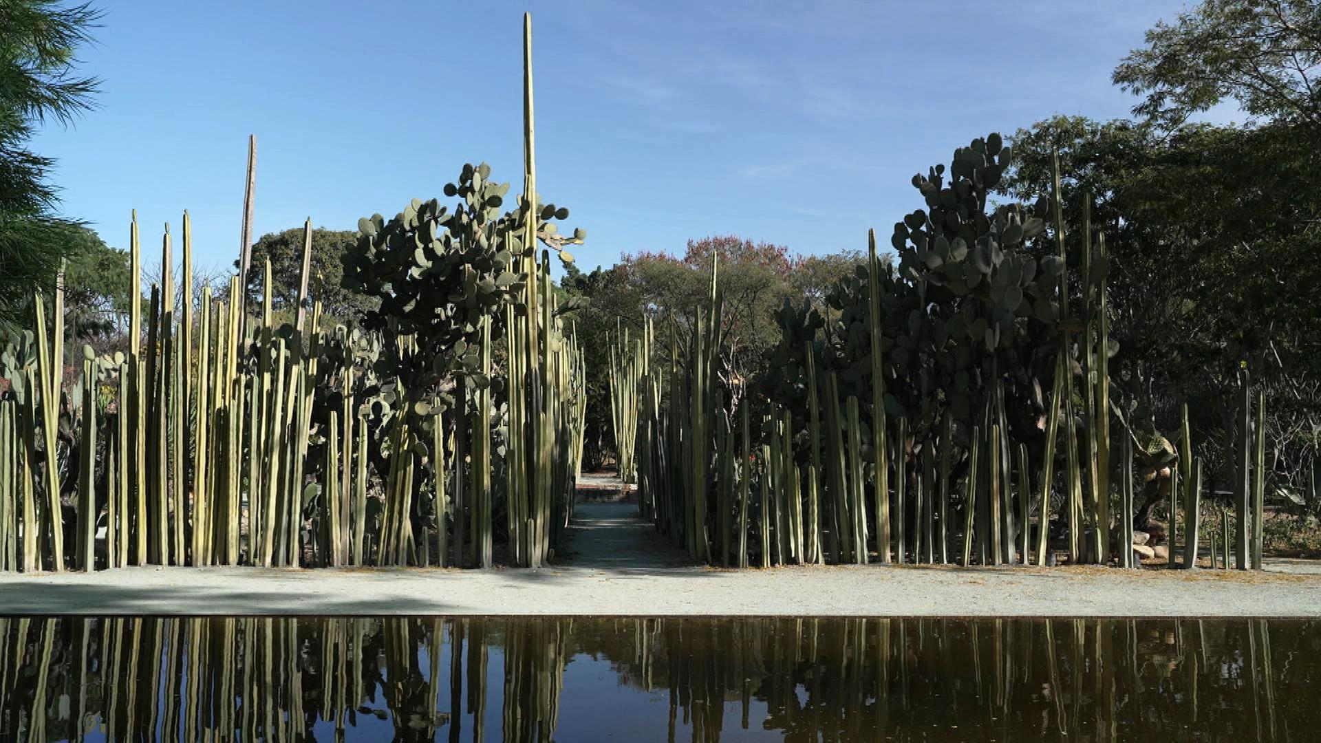 Stadt Land Kunst - Francisco Toledos Mexiko / Kenia / Athen