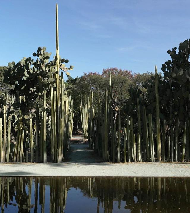 Stadt Land Kunst - Francisco Toledos Mexiko / Kenia / Athen