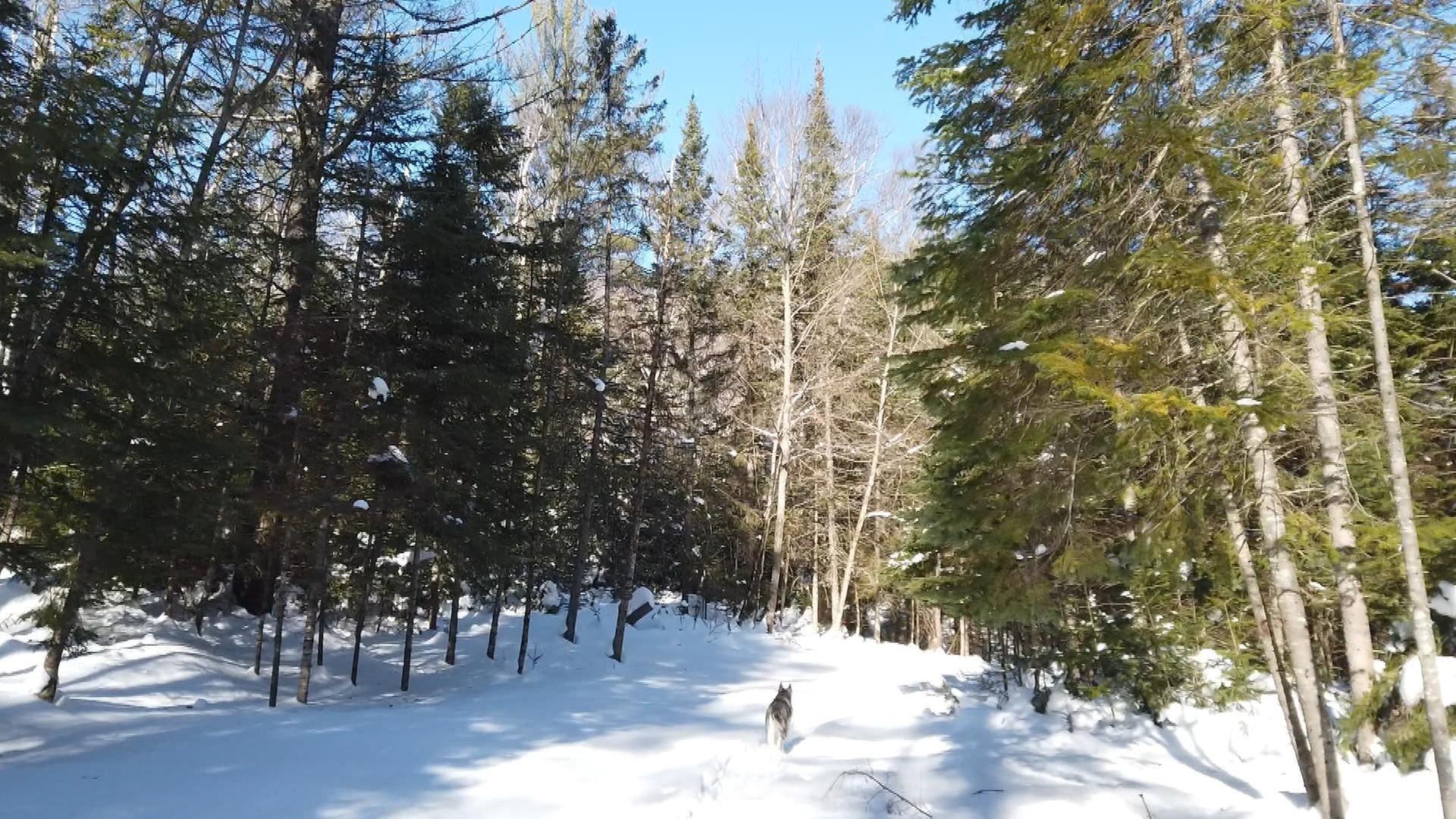 Stadt Land Kunst - Gabrielle Filteau-Chibas Québec / Puerto Rico / Mexiko