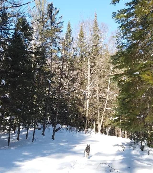 Stadt Land Kunst - Gabrielle Filteau-Chibas Québec / Puerto Rico / Mexiko