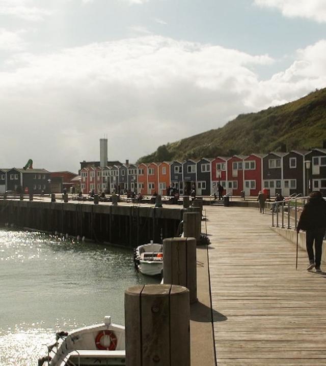 Stadt Land Kunst - Helgoland / Mailand / Japan