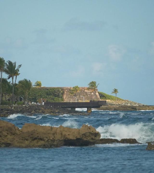 Stadt Land Kunst - Hunter S. Thompsons San Francisco / Ardèche / Puerto Rico