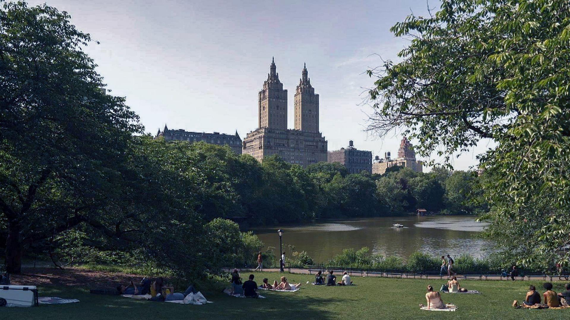 Stadt Land Kunst - James Balwins Harlem / Neukaledonien / Bretagne