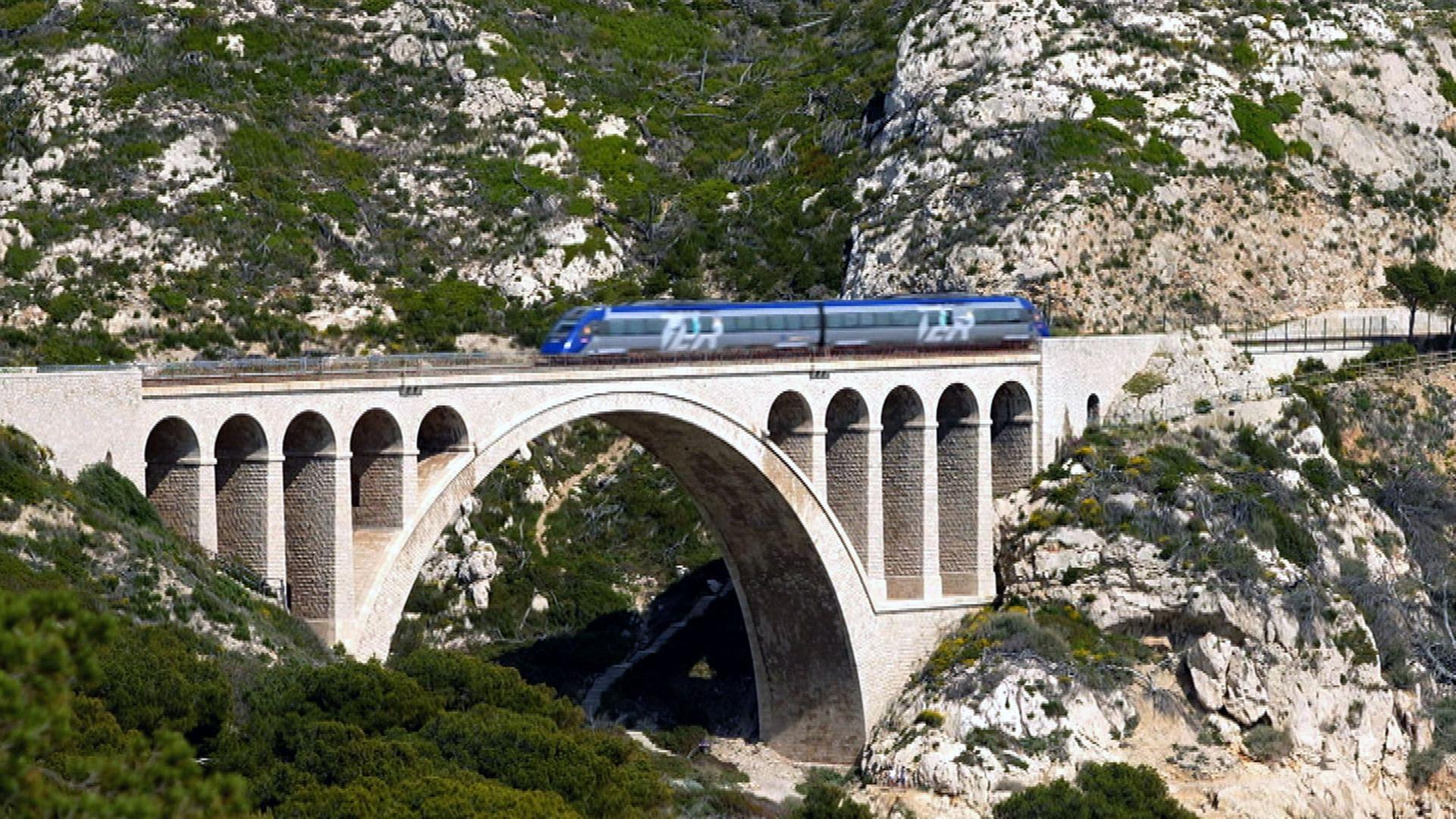 Stadt Land Kunst - Jangarh Singh Shyams Indien / Provence / Washington