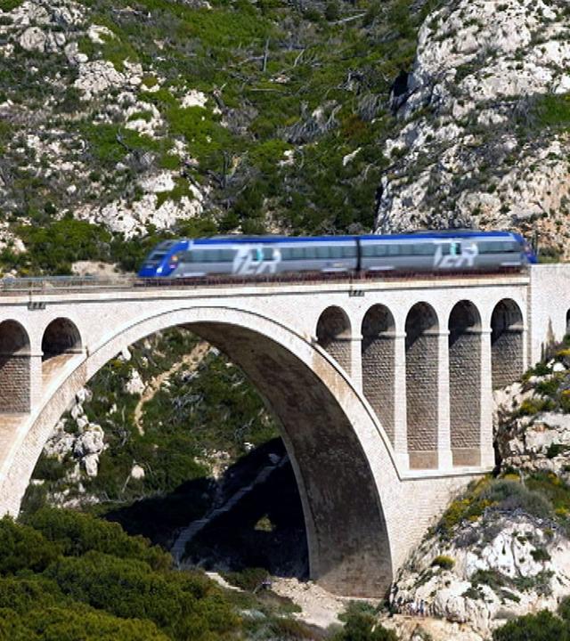 Stadt Land Kunst - Jangarh Singh Shyams Indien / Provence / Washington