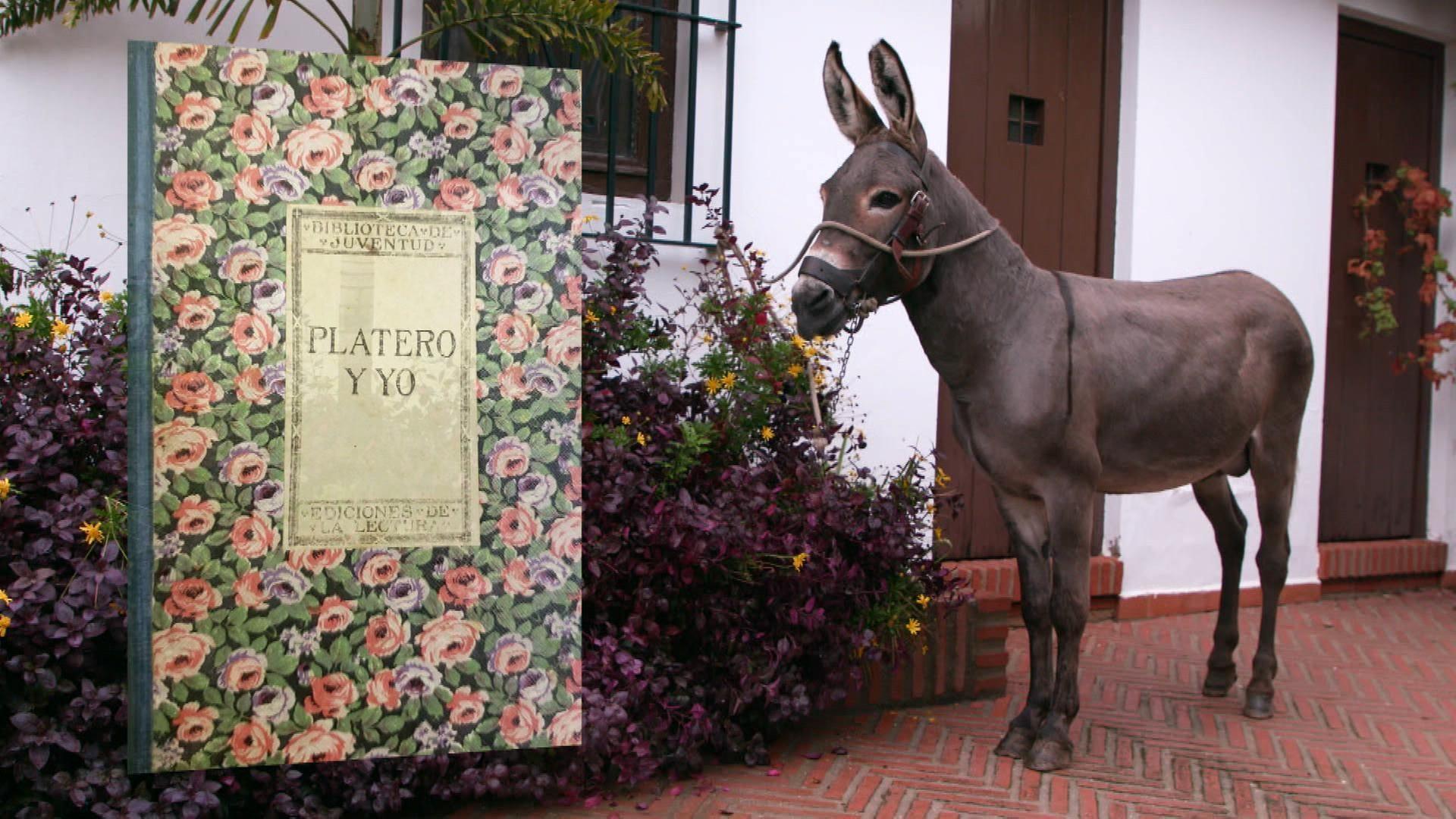 Stadt Land Kunst - Juan Ramón Jiménez' Andalusien / Madeira / Paris
