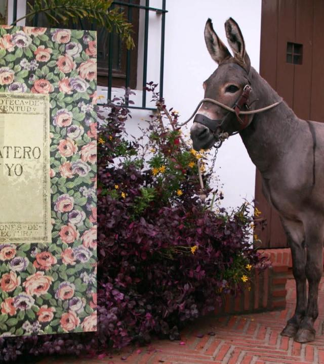 Stadt Land Kunst - Juan Ramón Jiménez' Andalusien / Madeira / Paris