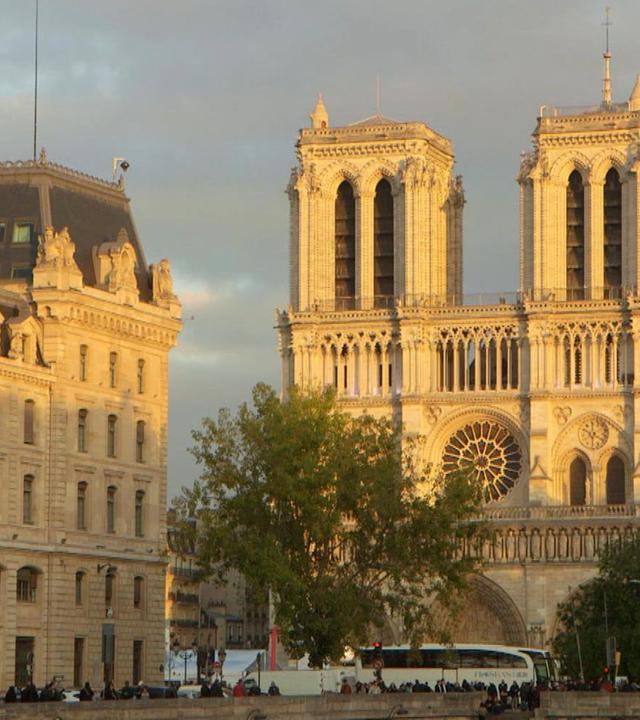 Stadt Land Kunst - Paris / Sardinien / Japan