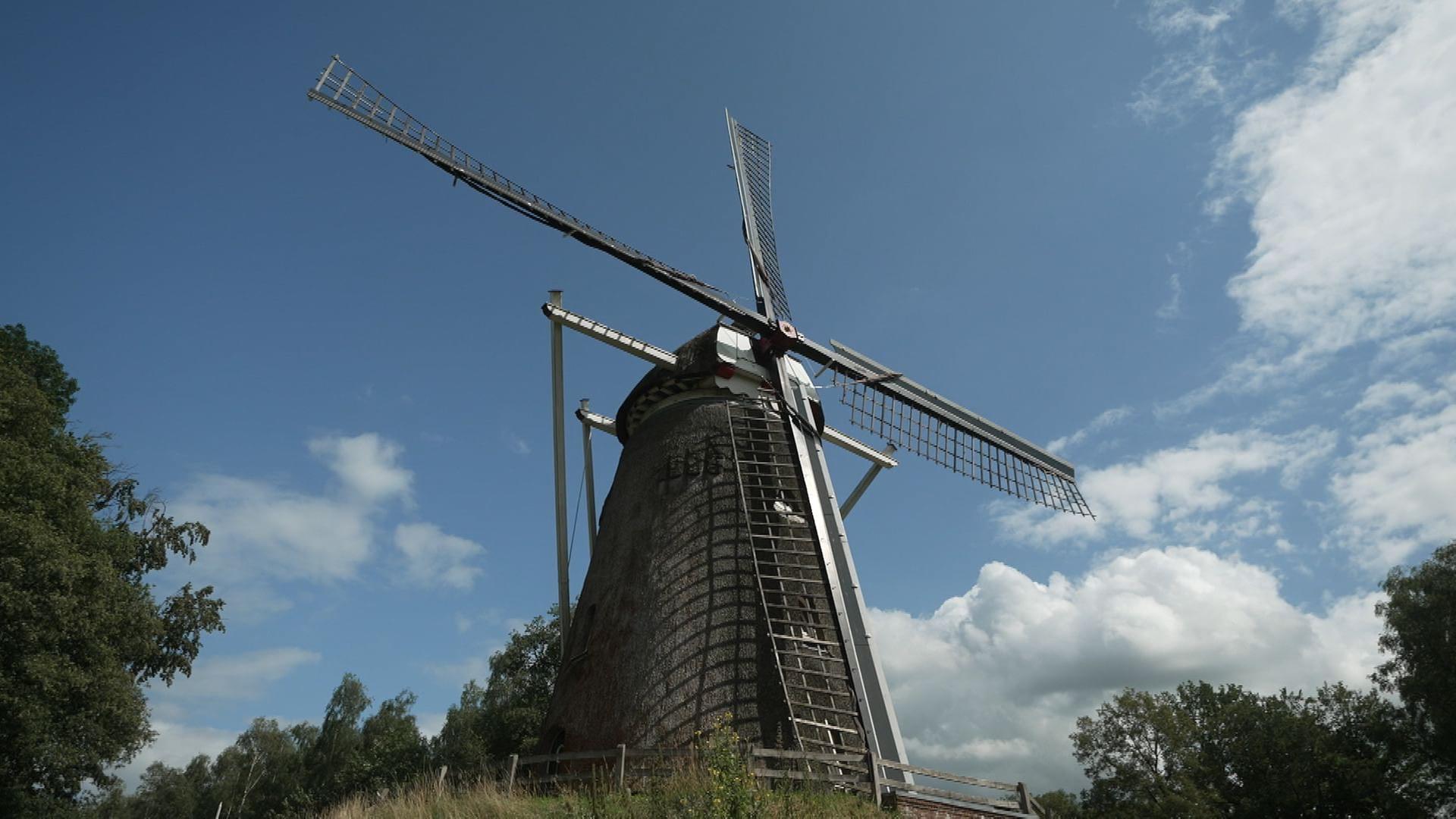 Stadt Land Kunst - Piemont / Japan / Niederlande