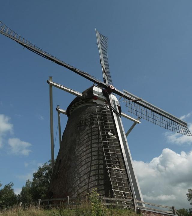 Stadt Land Kunst - Piemont / Japan / Niederlande