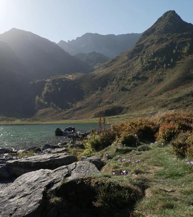 Stadt Land Kunst - Pyrenäen / Island / Bretagne
