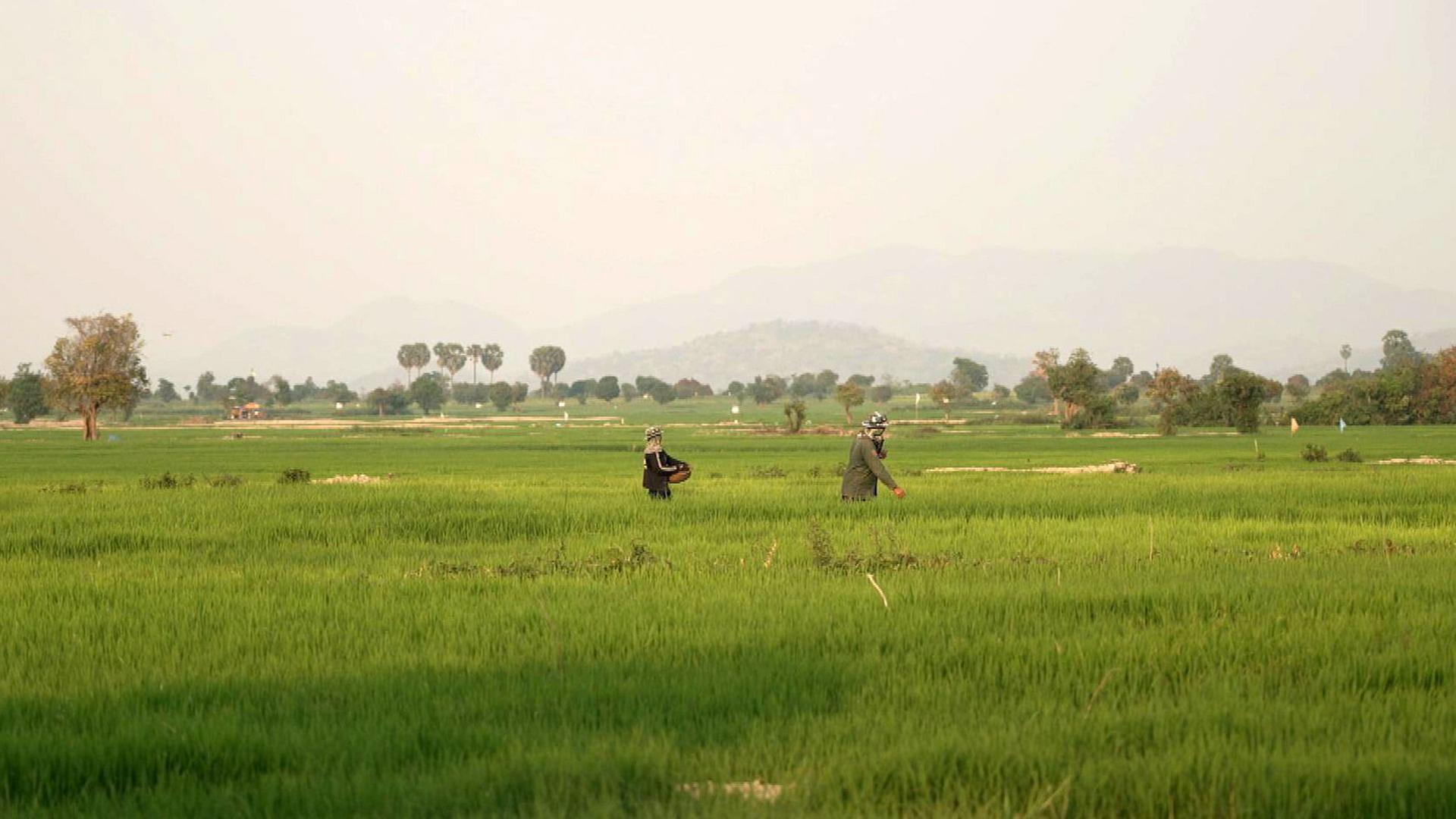 Stadt Land Kunst - Rithy Panhs Kambodscha / Los Angeles / El Salvador