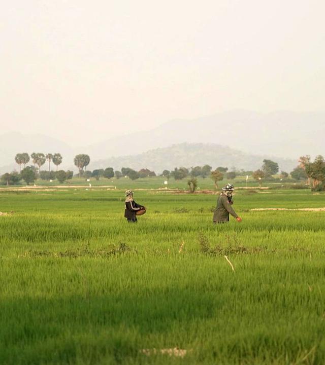 Stadt Land Kunst - Rithy Panhs Kambodscha / Los Angeles / El Salvador