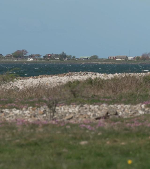 Stadt Land Kunst - Schweden / Neapel / Vereinigtes Königreich