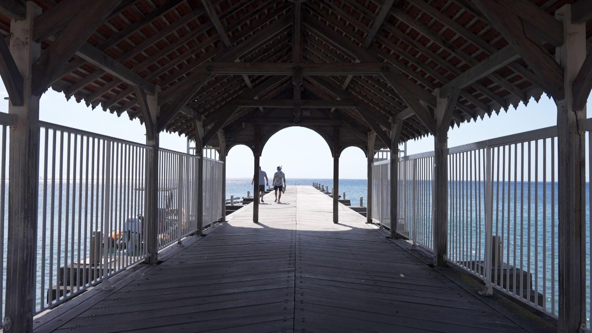 Stadt Land Kunst - Suzanne Dracius' Martinique / Louisiana / Wien