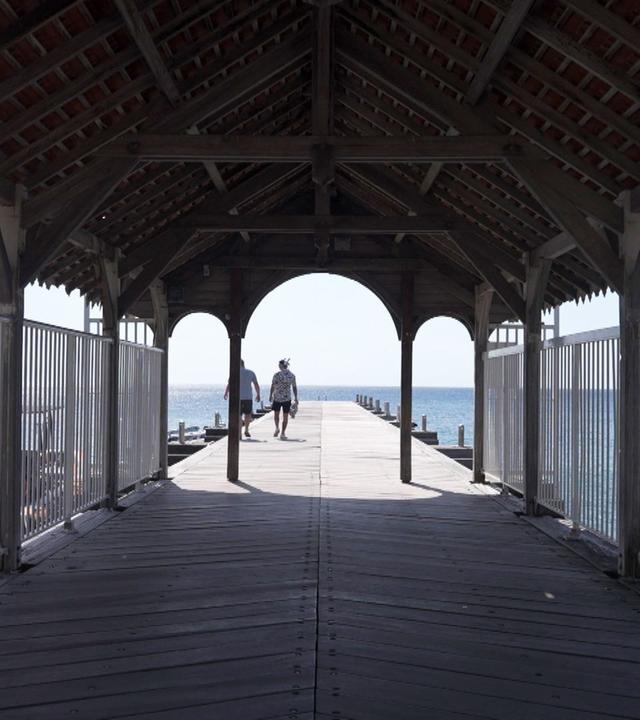 Stadt Land Kunst - Suzanne Dracius' Martinique / Louisiana / Wien