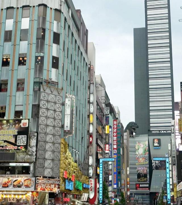 Stadt Land Kunst - Tokio / Madagaskar / Frankreich