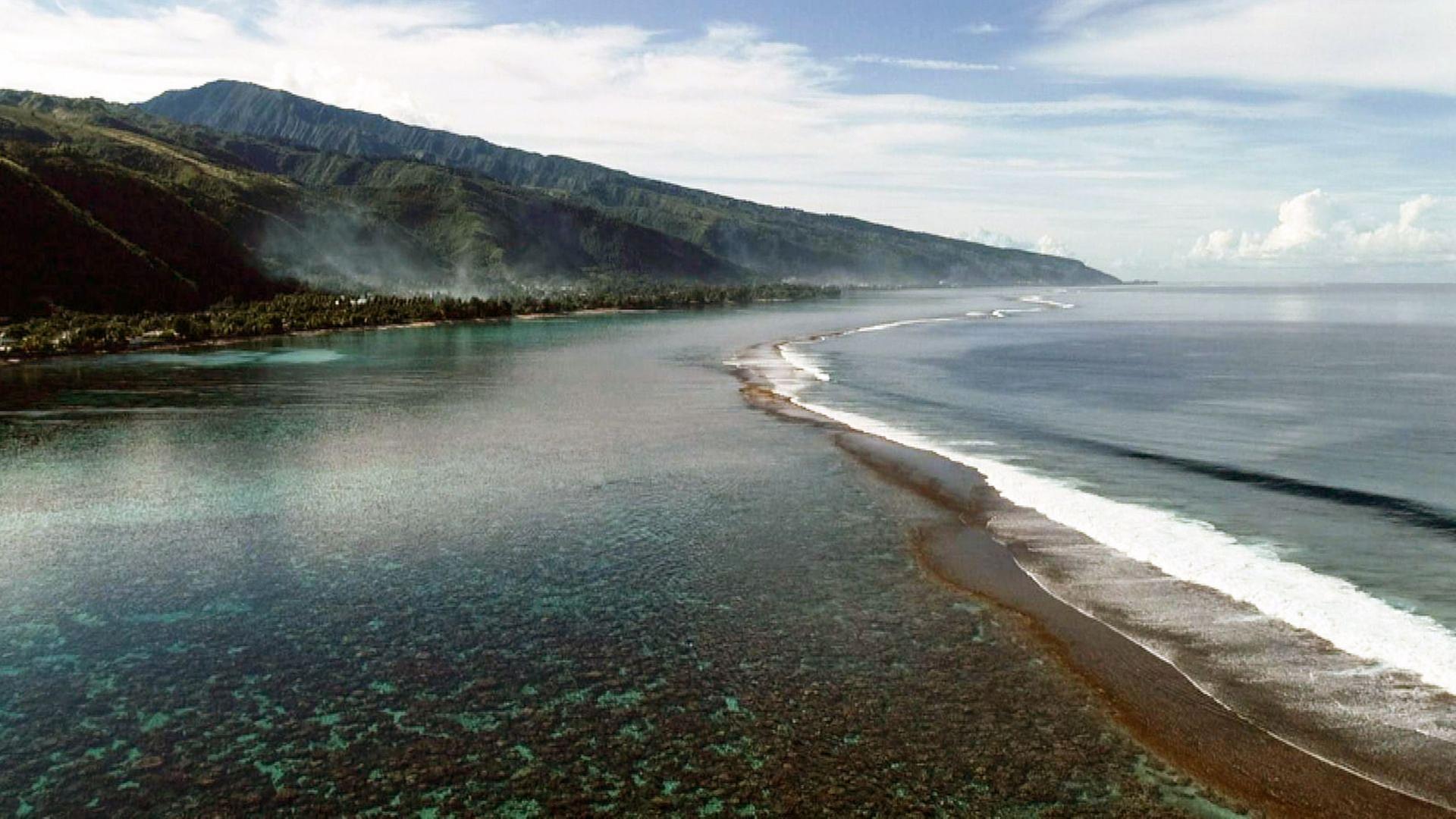 Stadt Land Kunst - Walt Disneys Paris / Karpaten / Polynesien
