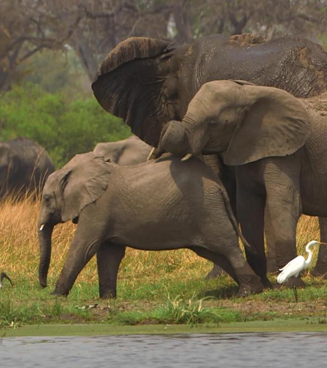 Stadt Land Kunst Spezial - Botsuana