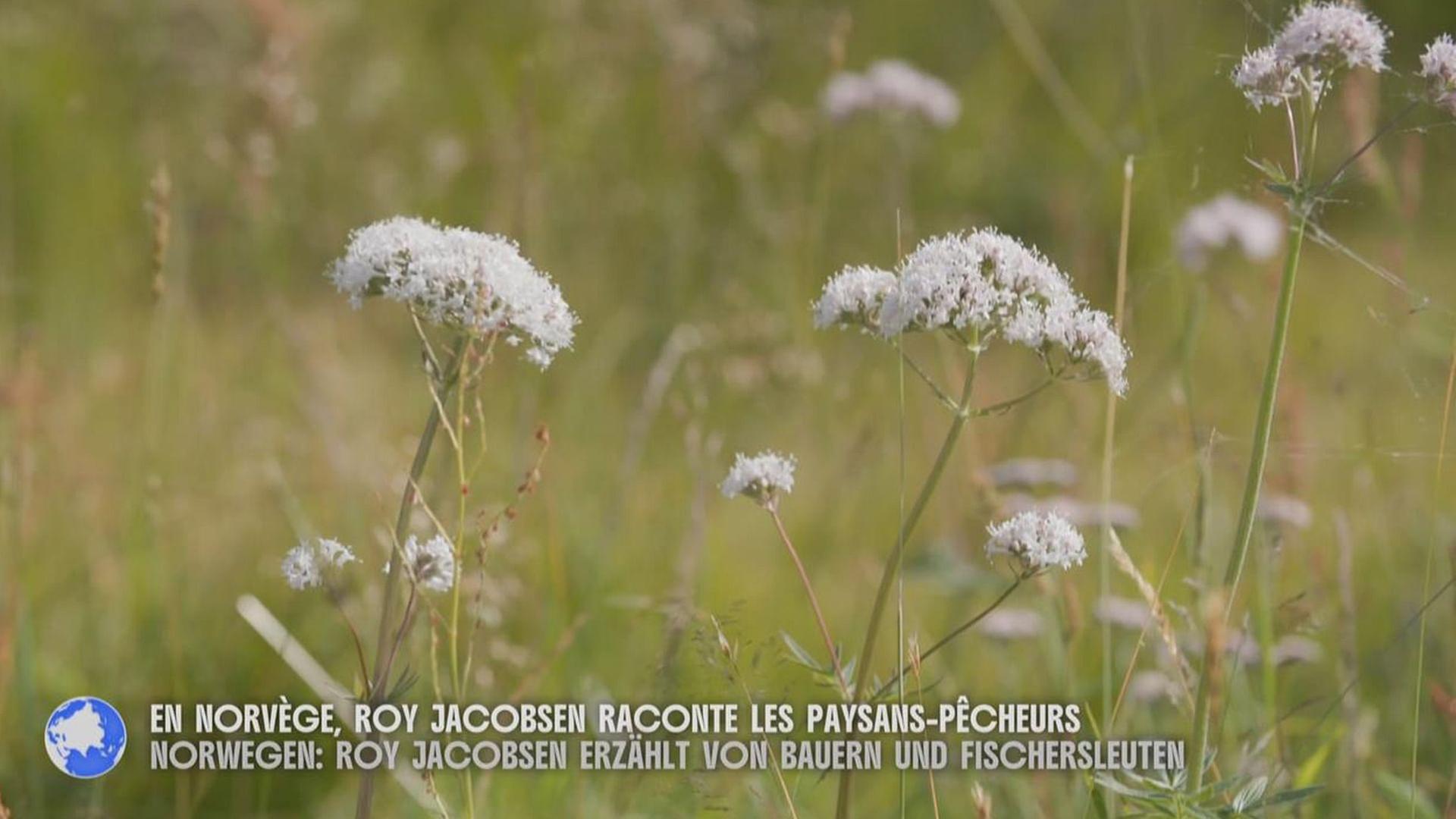 Stadt Land Kunst Spezial - Norwegen