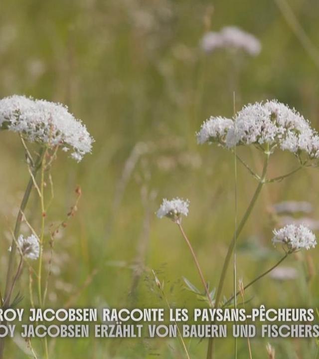 Stadt Land Kunst Spezial - Norwegen