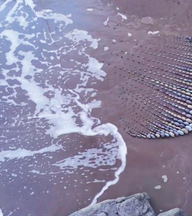 Twist - Hin und weg, die Schönheit vergänglicher Kunst