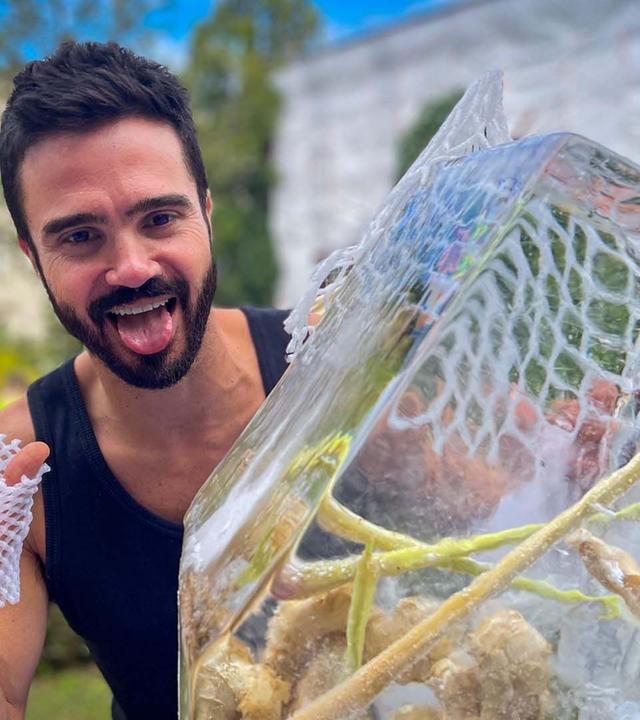 Twist - Macht Kochen glücklich?