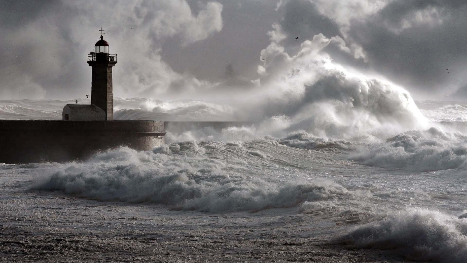 Weht bald ein anderer Wind? - 42 - Die Antwort auf fast alles